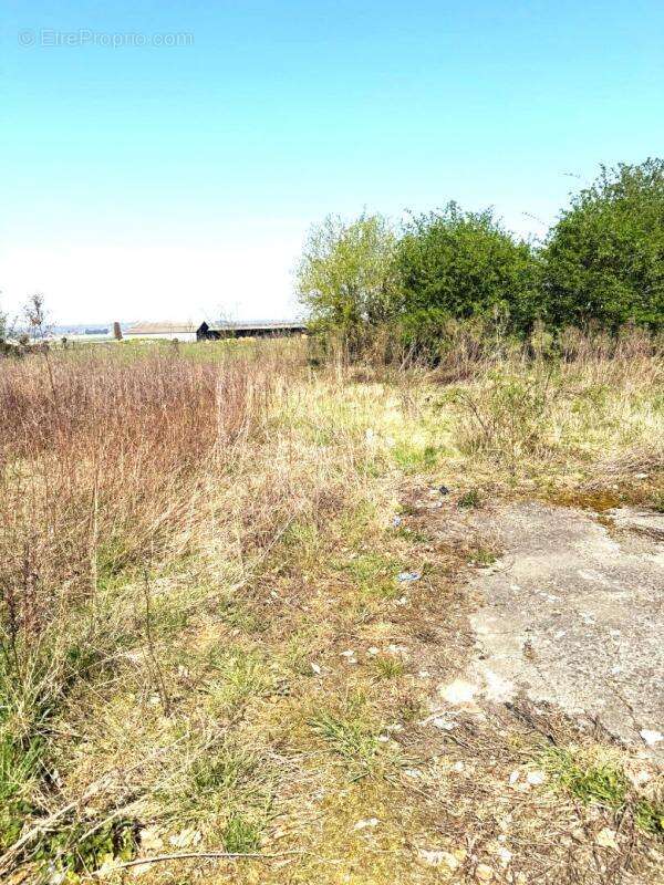 Terrain à MAREST-DAMPCOURT