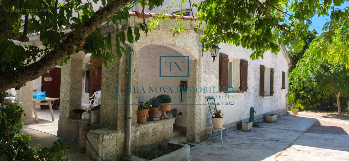 Propriété au cœur de l'Alta Rocca - photo 6