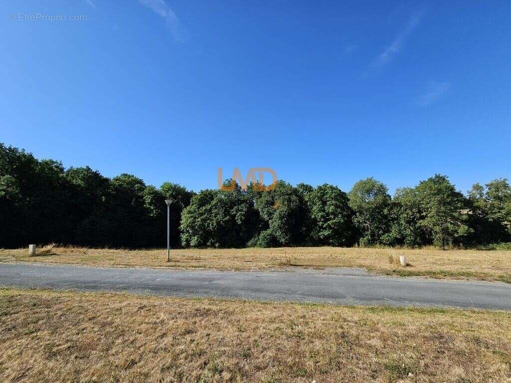 Terrain à ECOYEUX