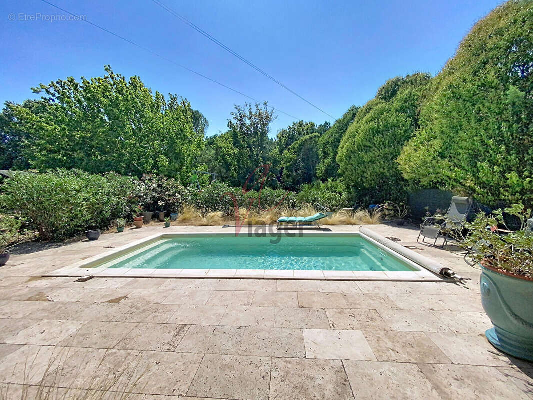 Exclusivité accent immobilier  mas en viager occupé - photo 9