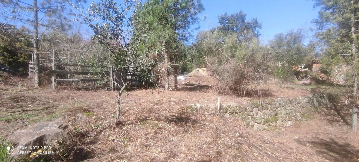 Terrain à VABRES