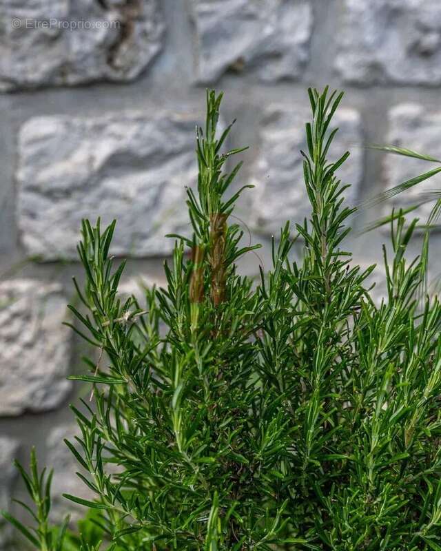 Maison à BOURRON-MARLOTTE