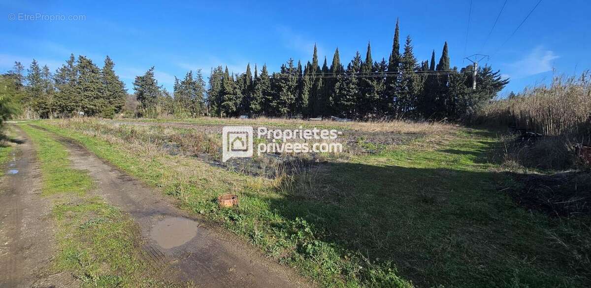 Terrain à ELNE