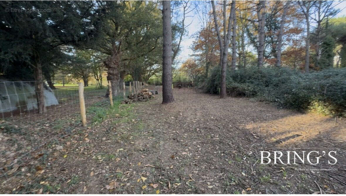 Terrain à CHATEAUBRIANT