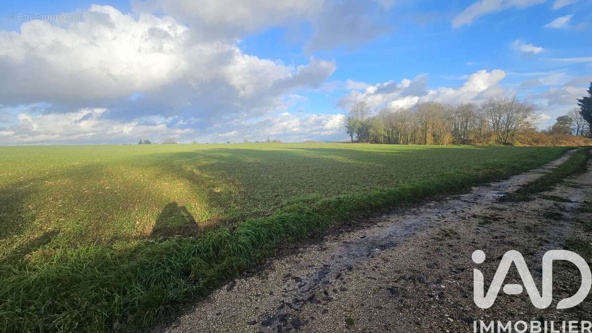 Photo 3 - Maison à DONNEMARIE-DONTILLY