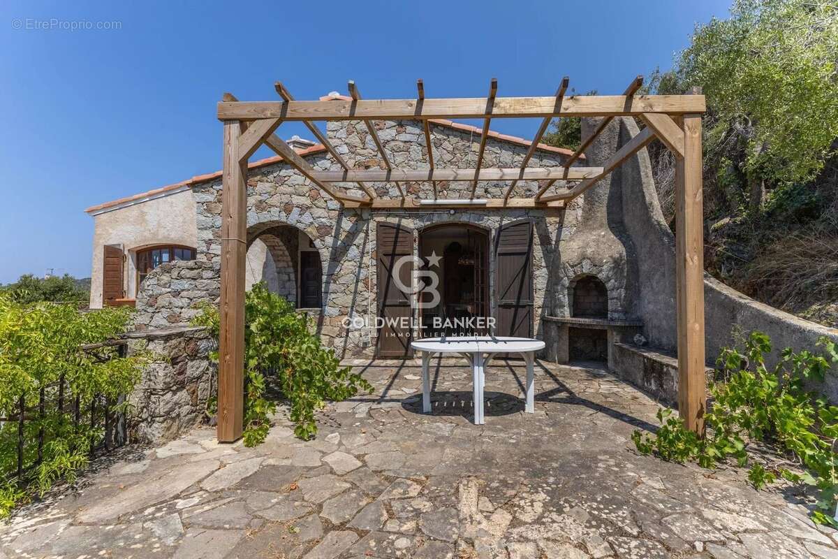 Corbara - Maison de caractère vue mer - Jardin & garage - photo 19