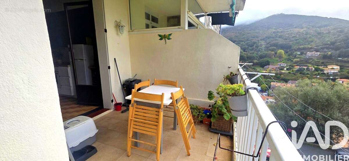 Photo 3 - Appartement à SARTENE