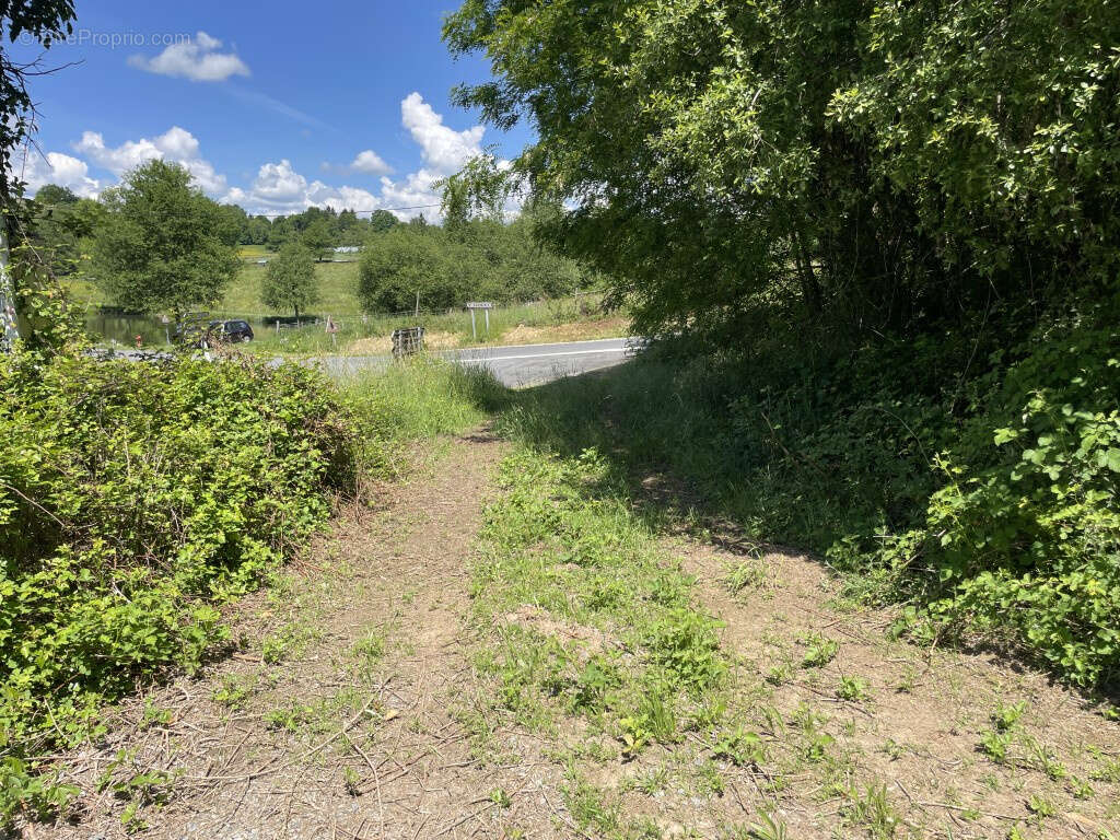 Terrain à SAINT-SORNIN-LAVOLPS