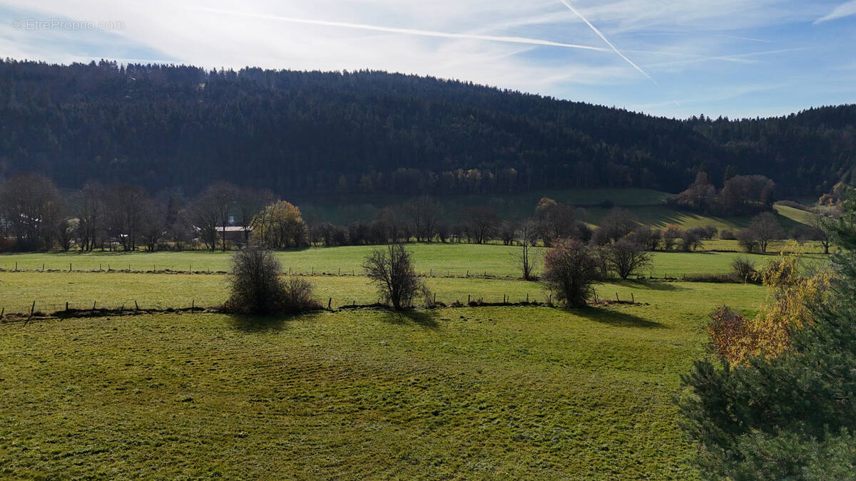 Terrain à FOURNETS-LUISANS