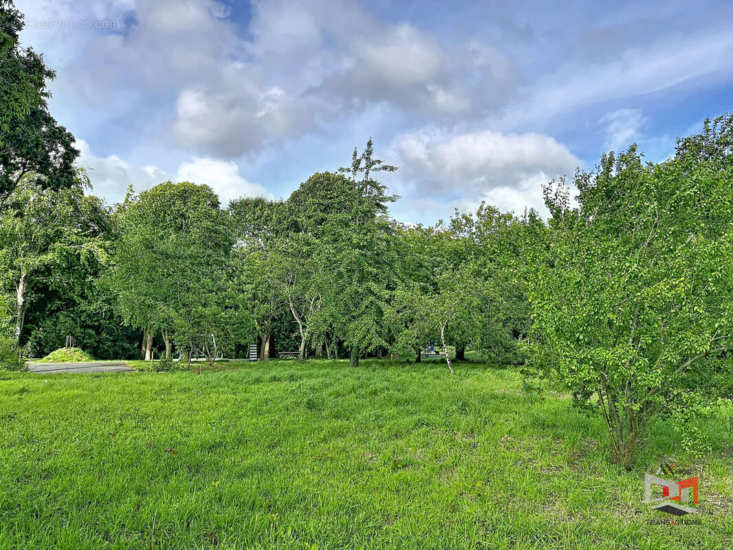 Terrain à CAVAN