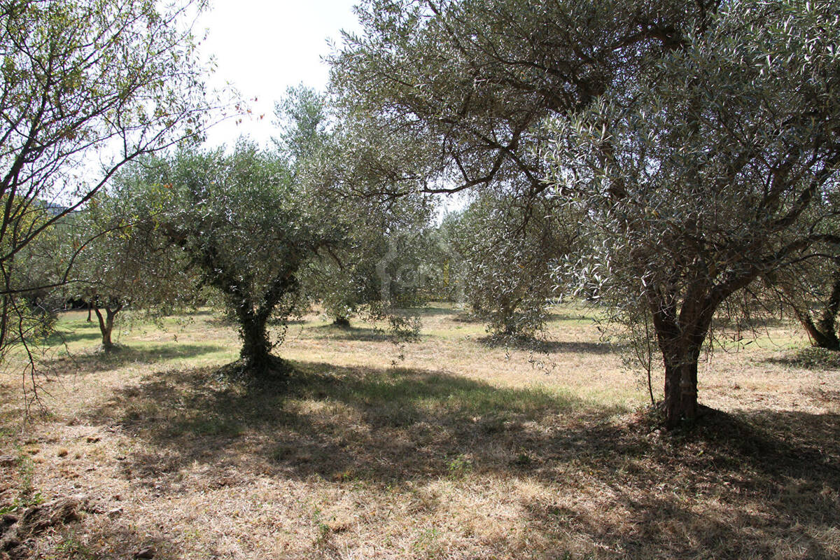Terrain à AUPS