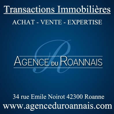 Appartement à ROANNE