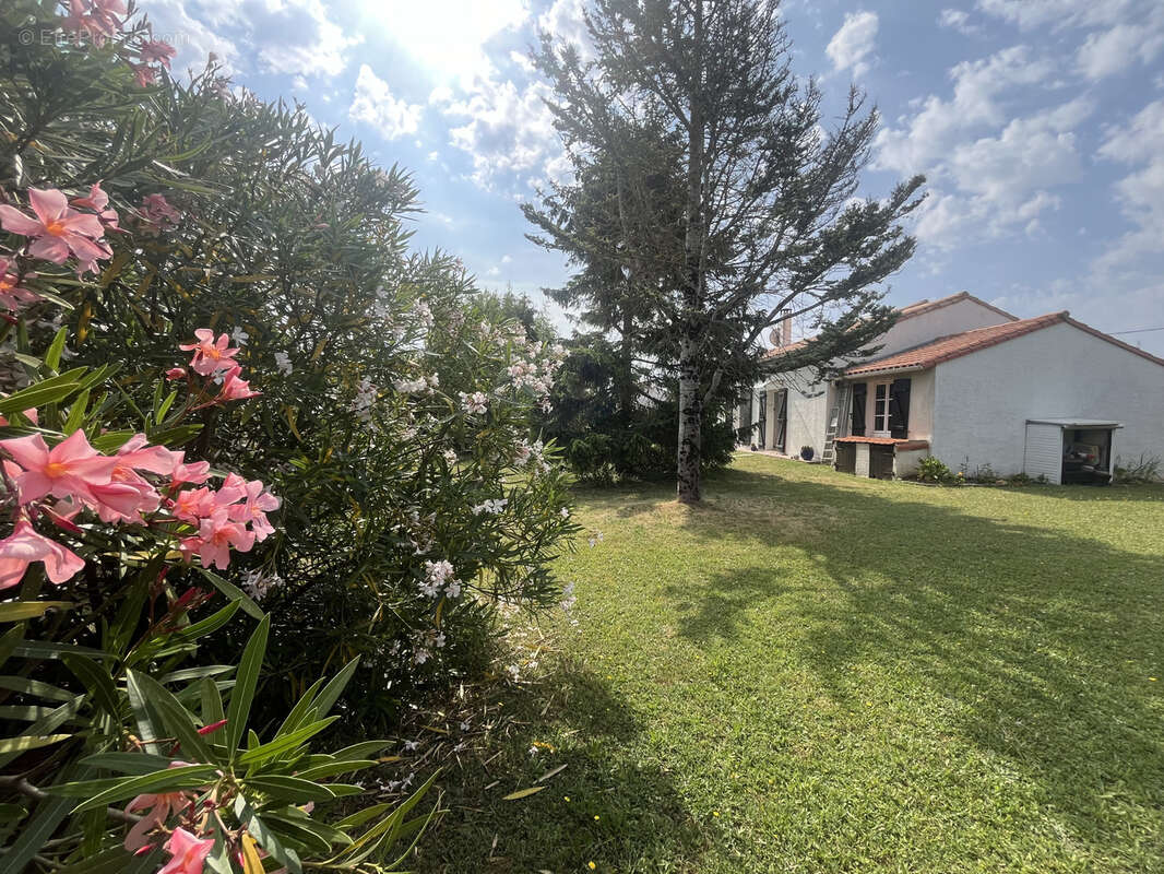 Maison à MESCHERS-SUR-GIRONDE