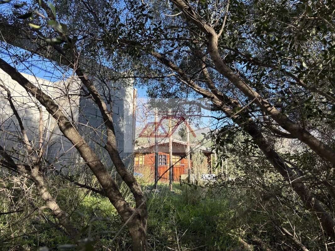 Terrain à CALENZANA