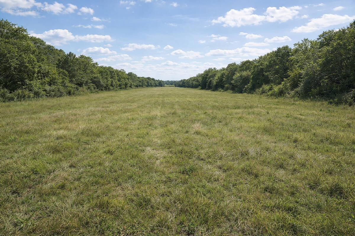 Terrain à PLONEOUR-LANVERN