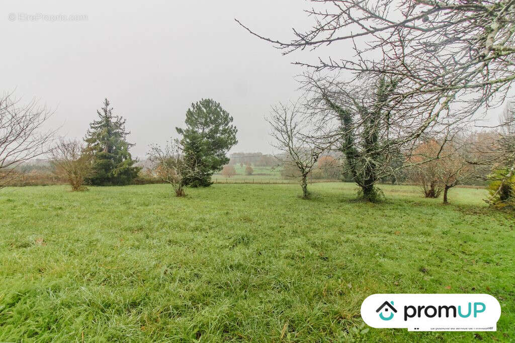 Terrain à SAINT-AULAYE