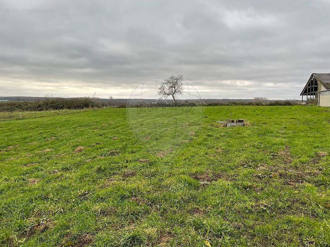 Stockage  à vendre - photo 8