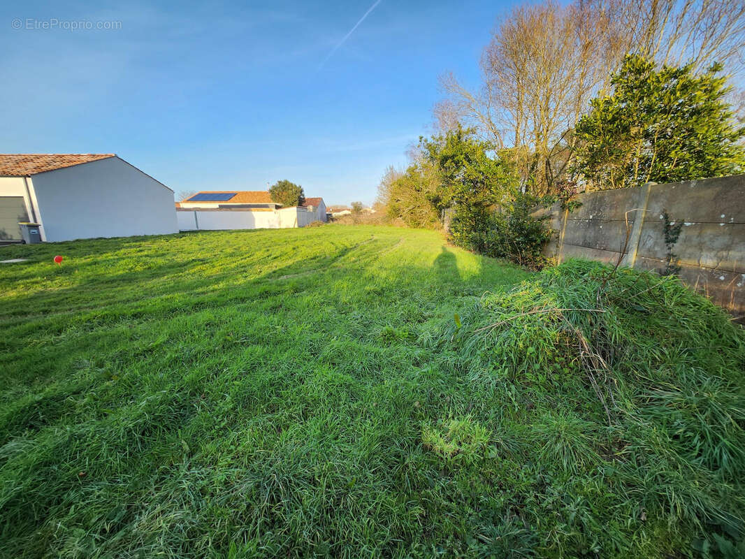 Terrain à NOTRE-DAME-DE-RIEZ