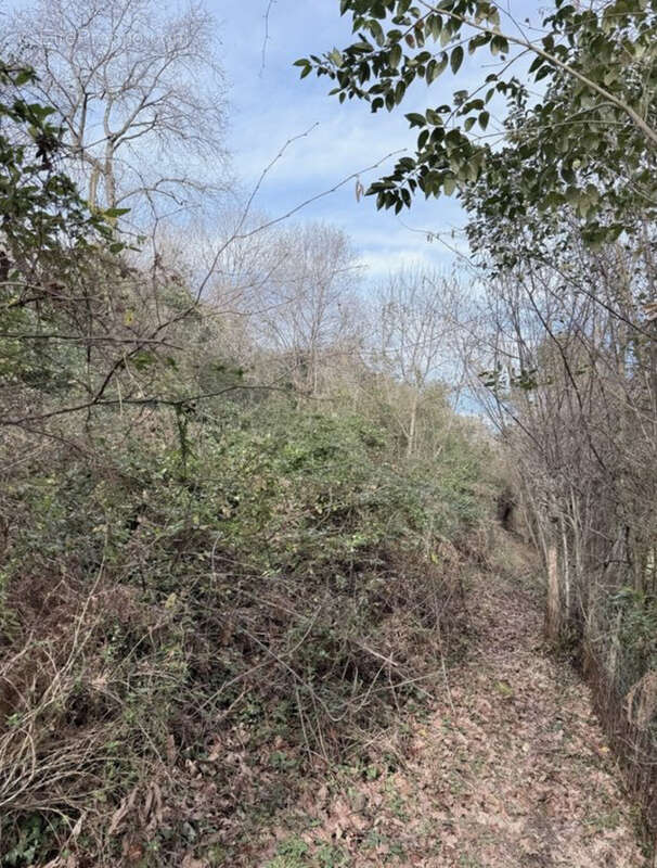 Terrain à BASSUSSARRY