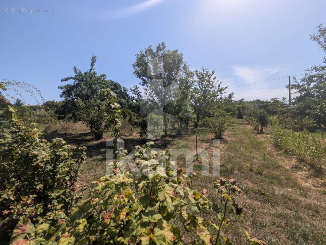 Domaine touristique et agricole biologique au cœur de la nature - photo 27