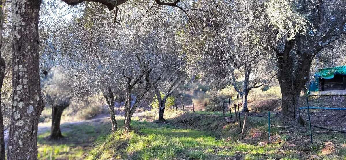 Maison à BERRE-LES-ALPES