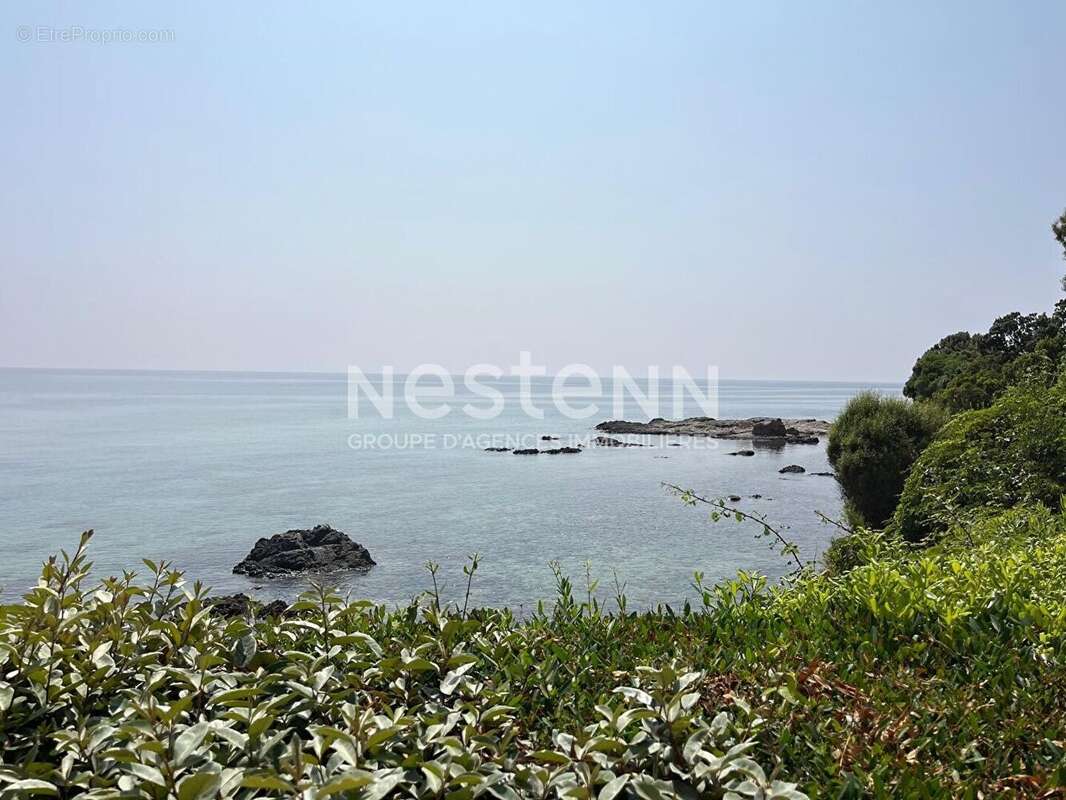 Appartement 3 pièces de 74 m2 situé en bordure de mer au centre du village, à l'entrée du port. - photo 24