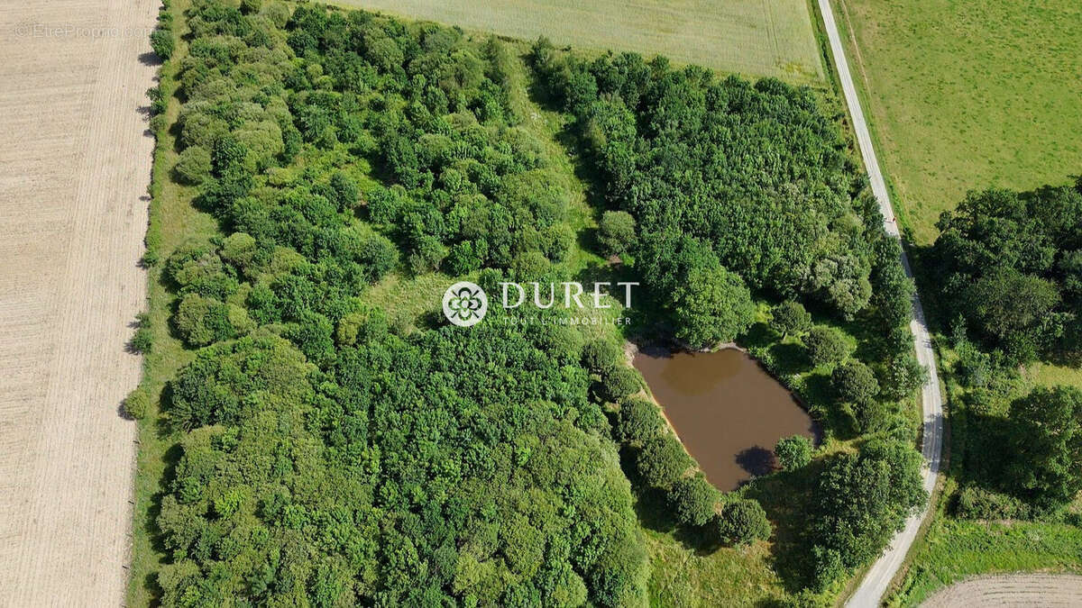 Terrain à CORCOUE-SUR-LOGNE