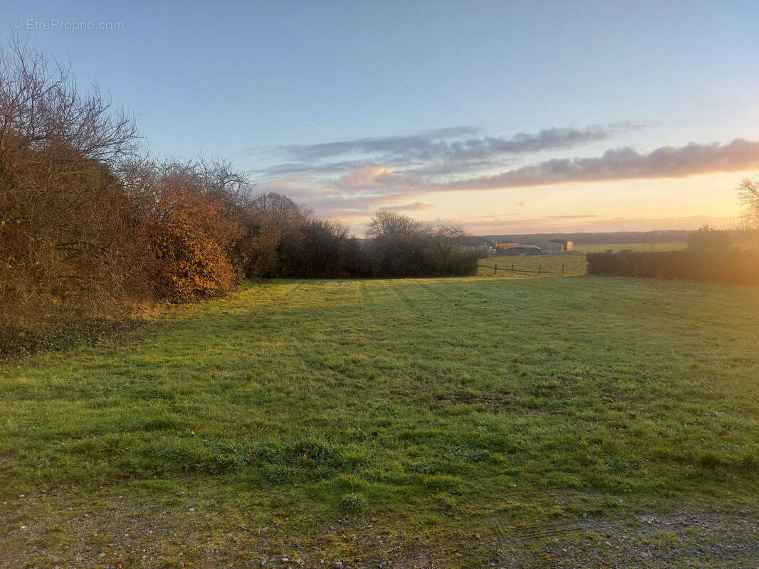 Terrain à LUCHE-PRINGE