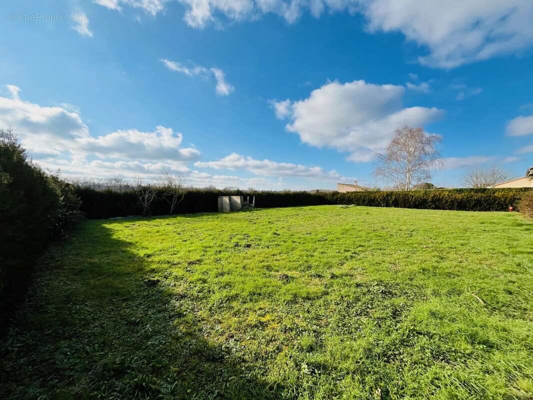 Terrain à VILLEFRANCHE-DE-LAURAGAIS