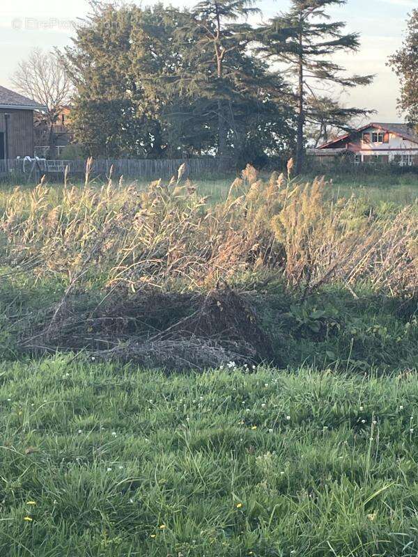 Terrain à GUJAN-MESTRAS