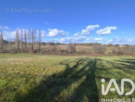 Terrain 1850 m² à Montesquieu-Guittaut  - photo 2