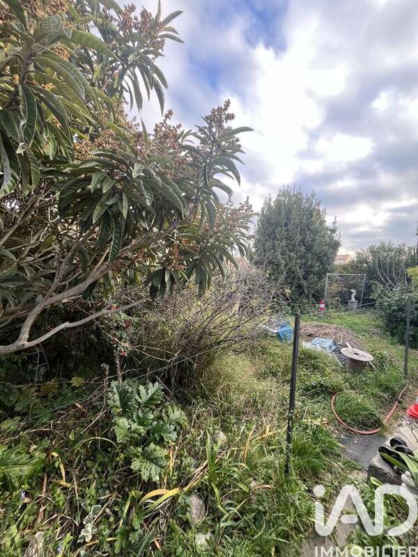 Photo 4 - Maison à SAINT-CYPRIEN