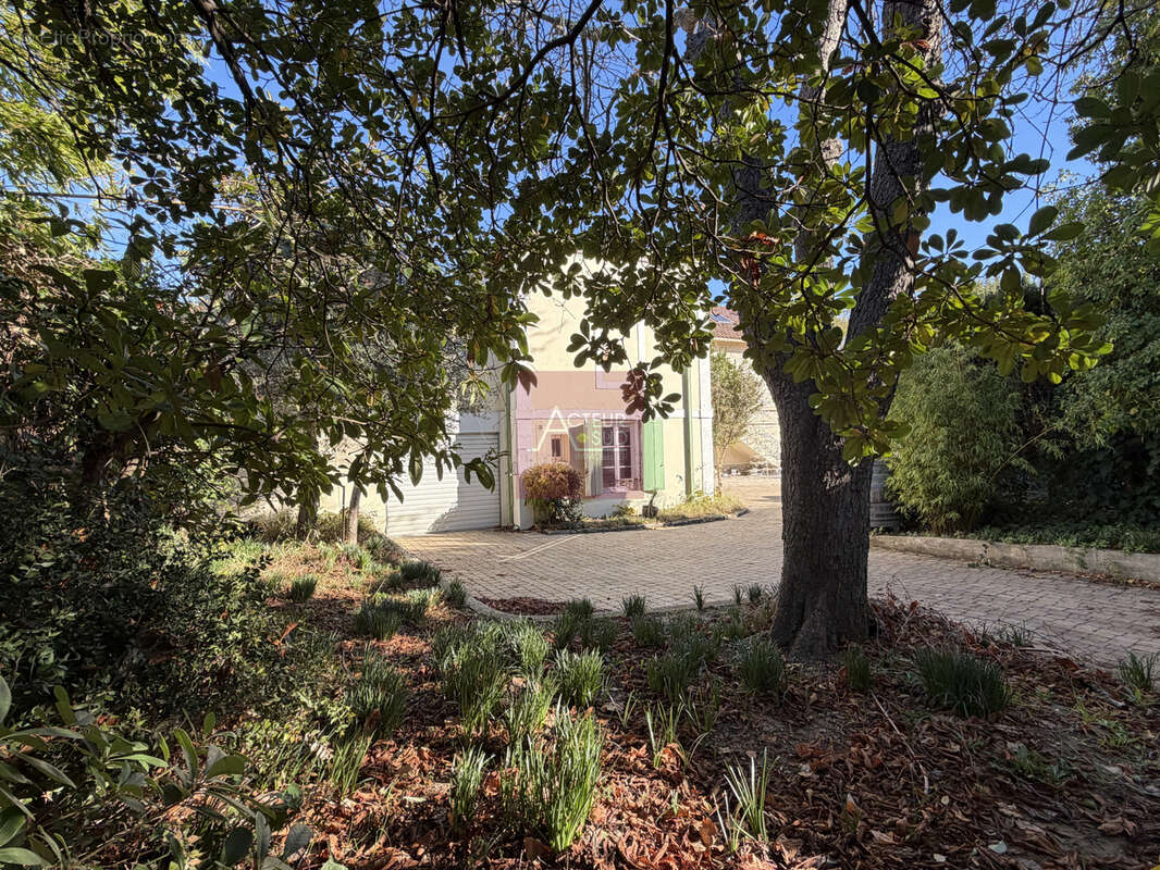 Maison à MONTPELLIER