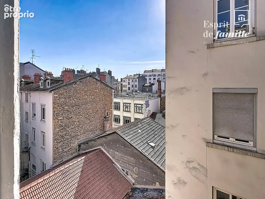 Lyon 7ᵉ – Studio de 25 m² en bon état, proche métro et commerces - photo 6