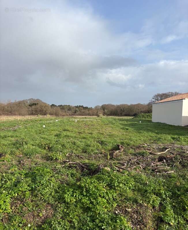 Terrain à LA PLAINE-SUR-MER