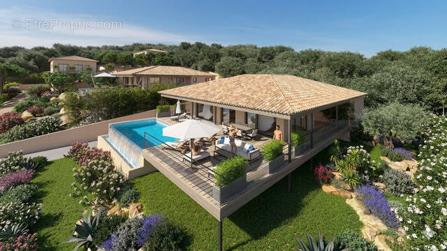 Maison à SARI-SOLENZARA