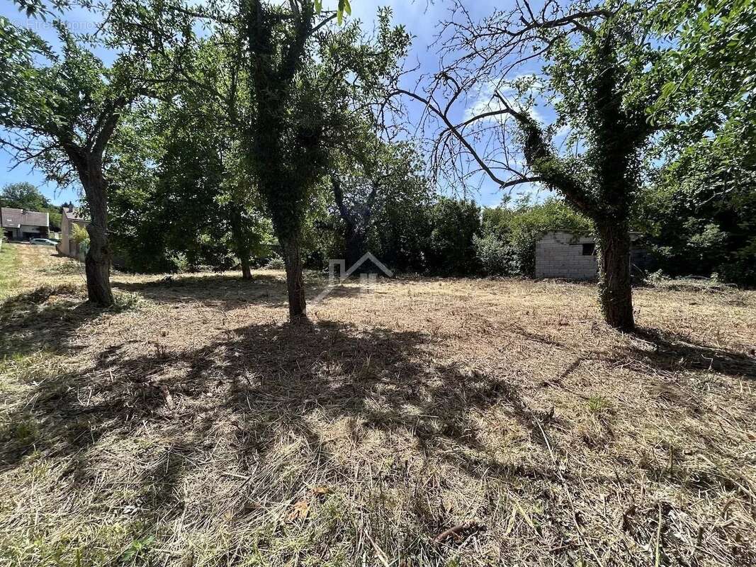 Terrain à bâtir - 979m² - photo 6