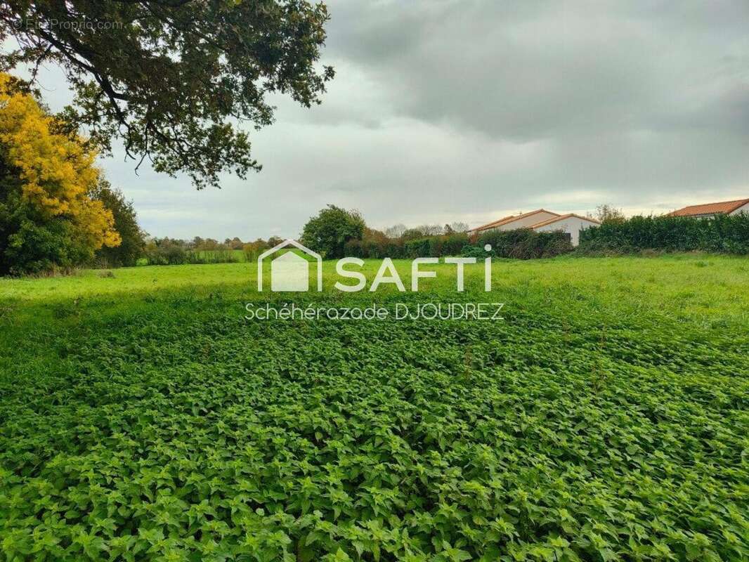 Photo 4 - Terrain à VENDRENNES