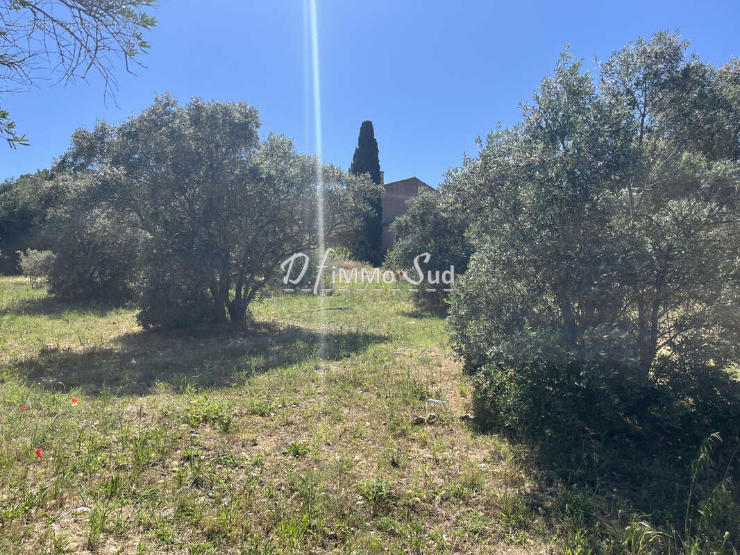 Maison T4 - 4 faces sur terrain exceptionnel de 4 400 m2 à Narbonne - photo 8