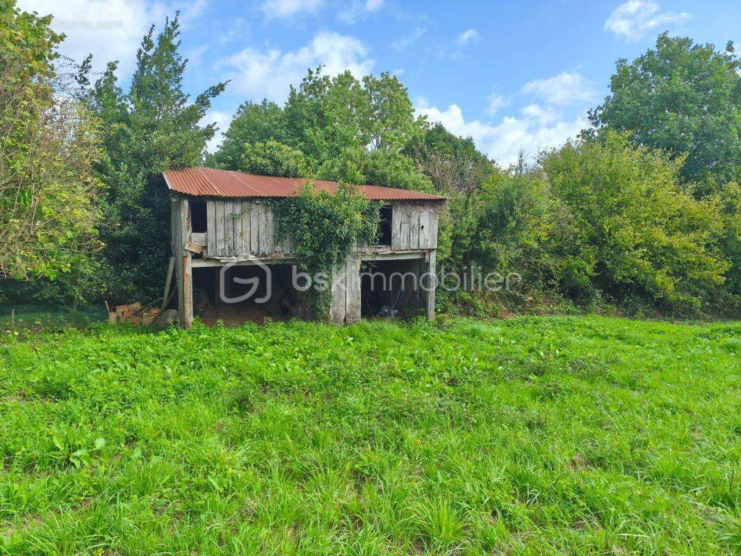  Maison à rénover – 86 m² au sol à 5 minutes de Bagnoles de L'orne - photo 8