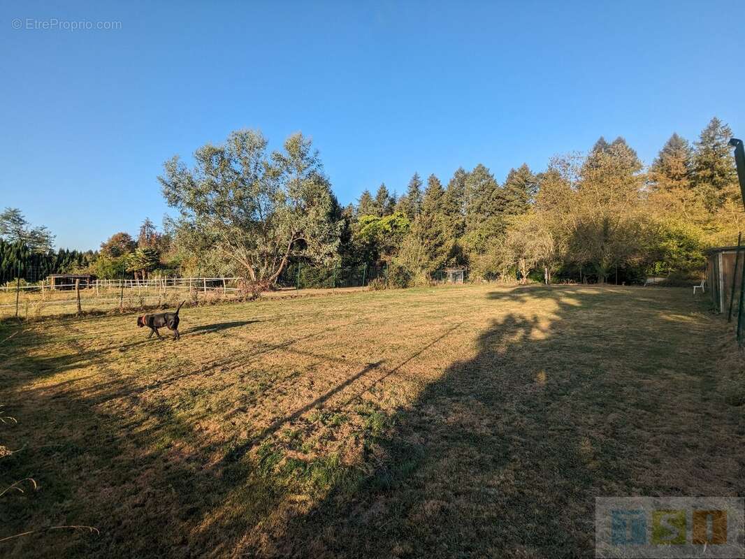 Maison à LANNEMEZAN