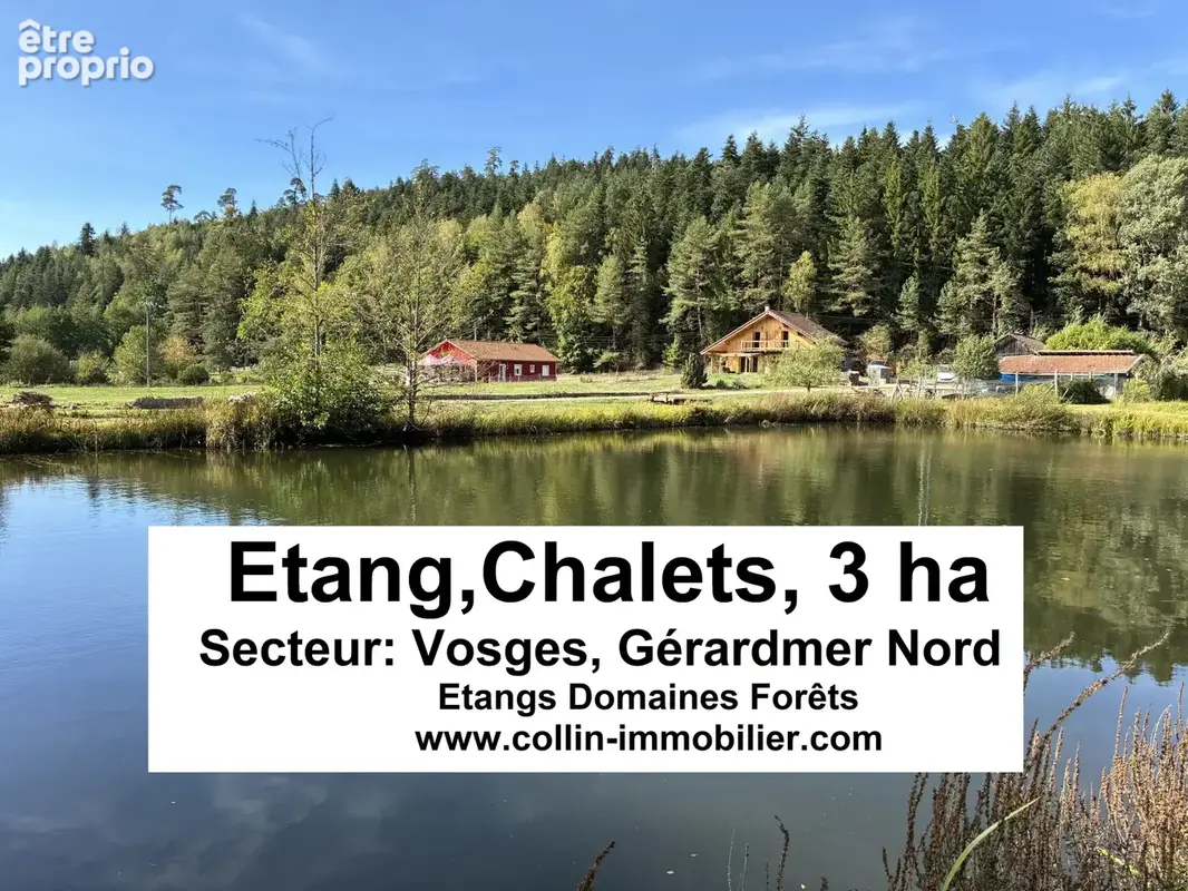 Terrain à GERARDMER