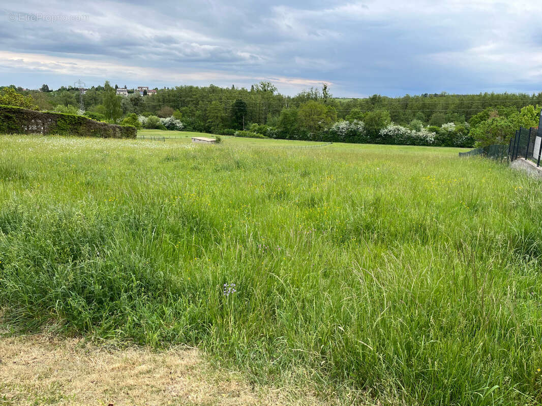 Terrain à NEUFGRANGE