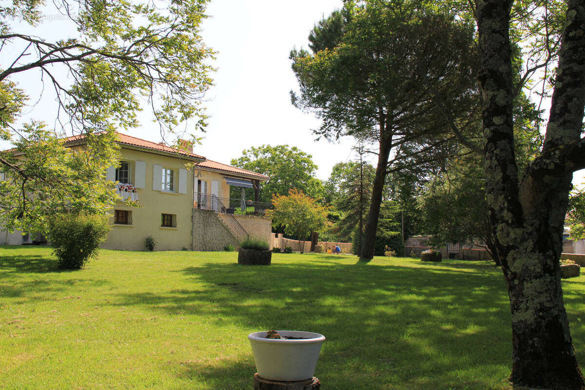 Maison à SAINT-FORT-SUR-GIRONDE