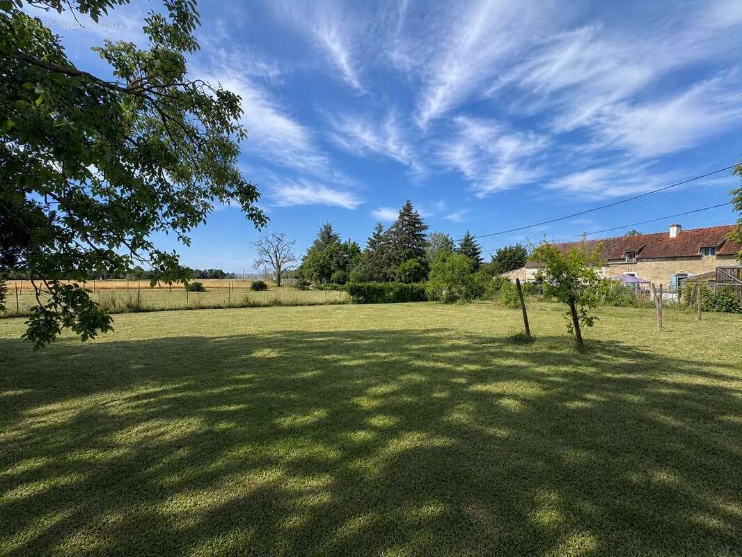 Terrain plat et dégagé à Louchy-Montfand - photo 3