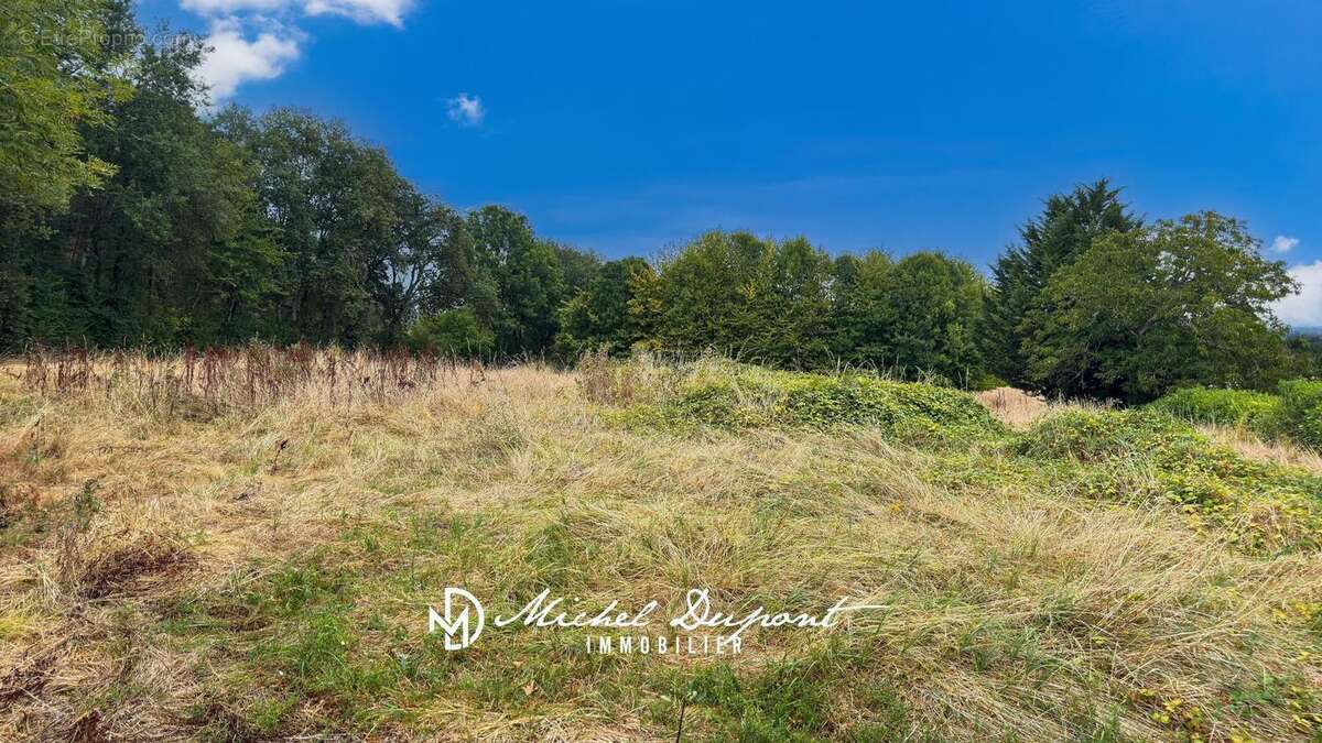 Photo 3 - Terrain à FLEURAC