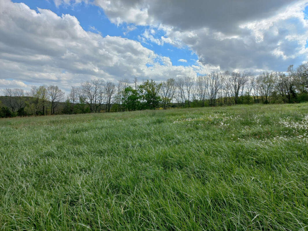 Terrain à MONTESQUIOU