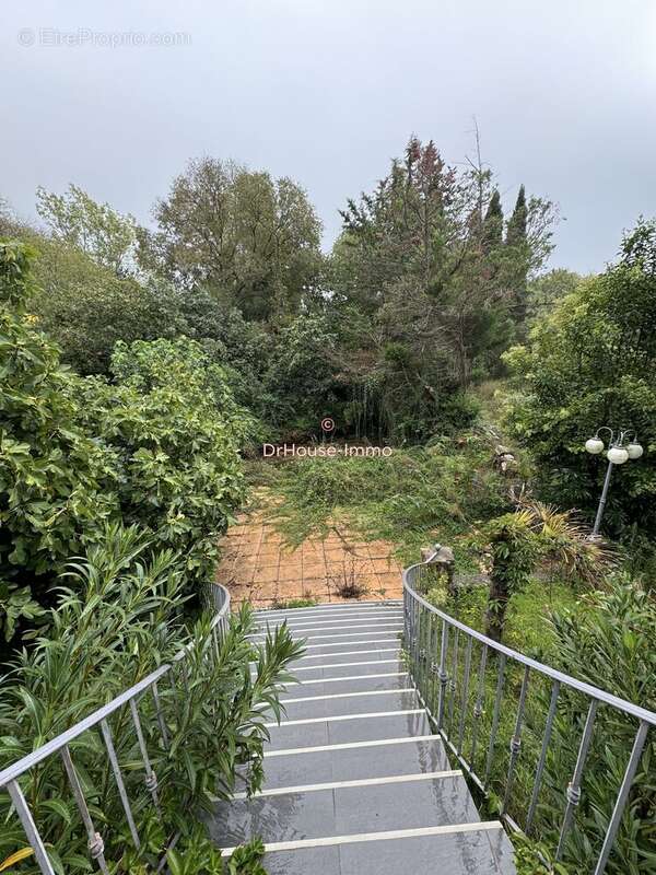 Commerce 1815 m² à Draguignan  - photo 5