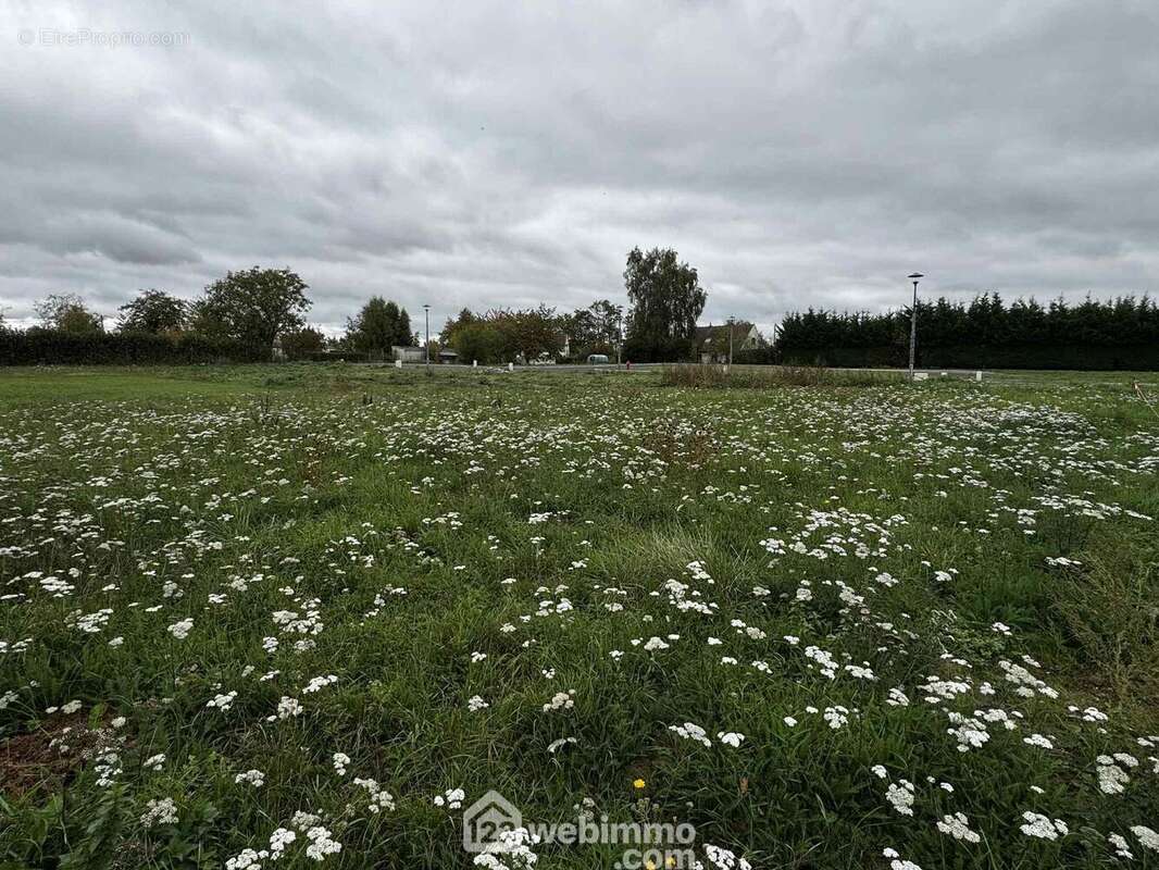 Il est viabilisé et libre de constructeur - Terrain à VERSIGNY