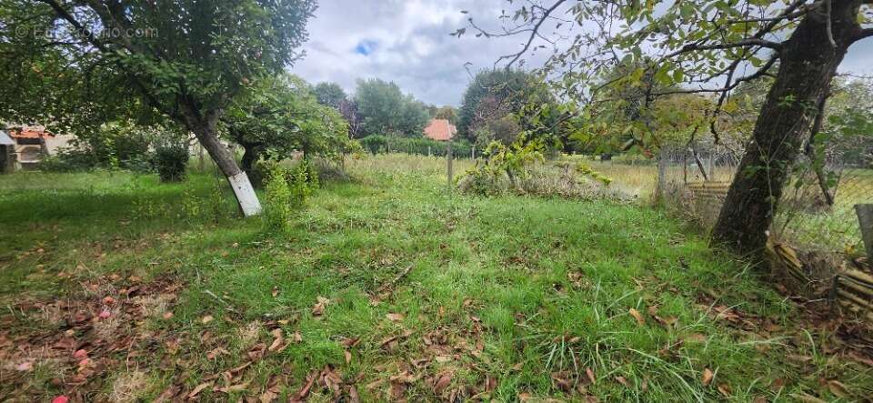 Terrain à LESCURE-D&#039;ALBIGEOIS